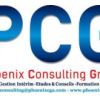 Phoenix Consulting Group SN With PCG AFRICA, you 'll never work alone Senegal Jobs Expertini